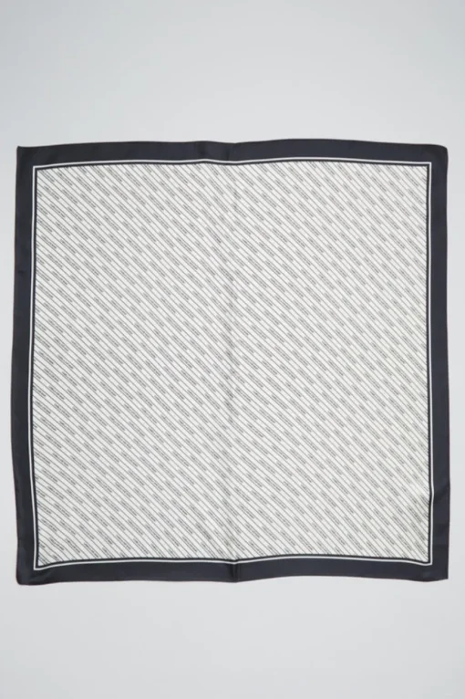 Logo Stripe Scarf Logo Print